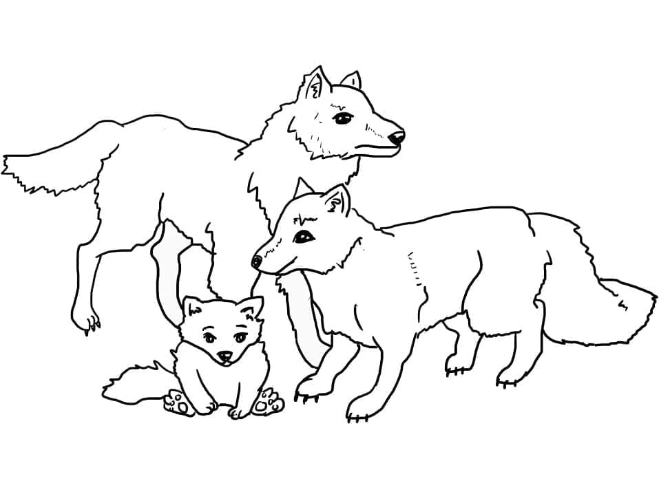 Desenho de Família de Lobos para colorir