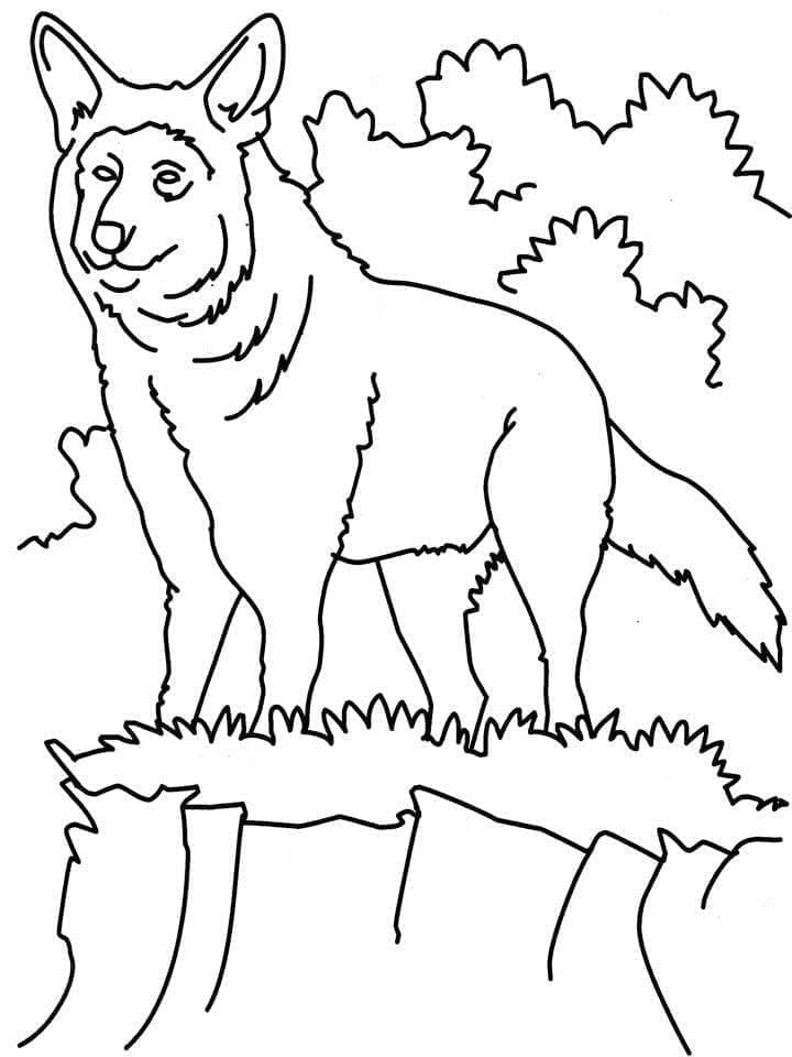 Desenho de Lobo Incrível para colorir