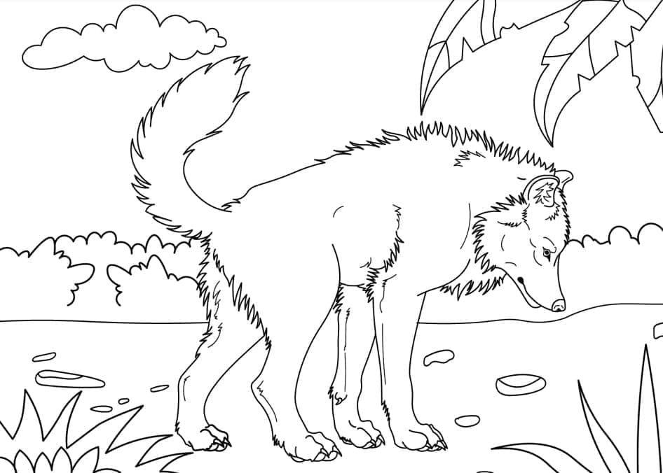 Desenho de Lobo na Floresta para colorir