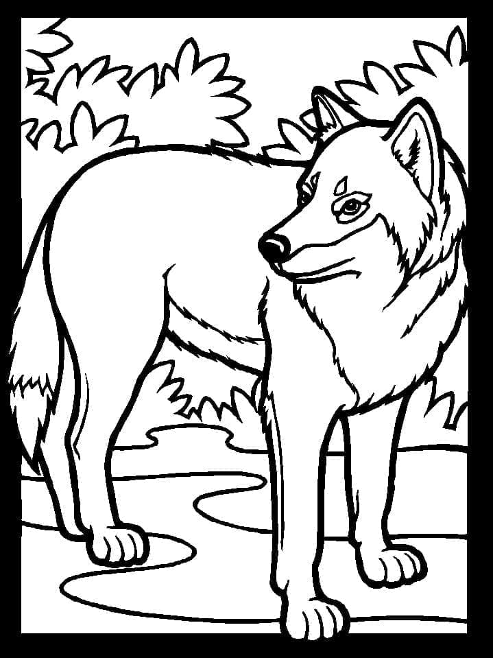 Desenho de Lobo Para Crianças para colorir