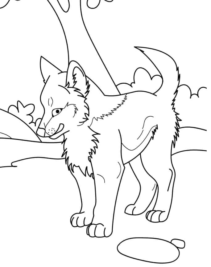 Desenho de Pequeno Lobo para colorir