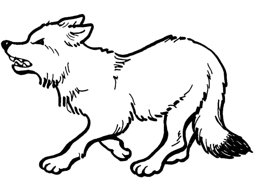 Desenho de Um Lobo Furioso para colorir