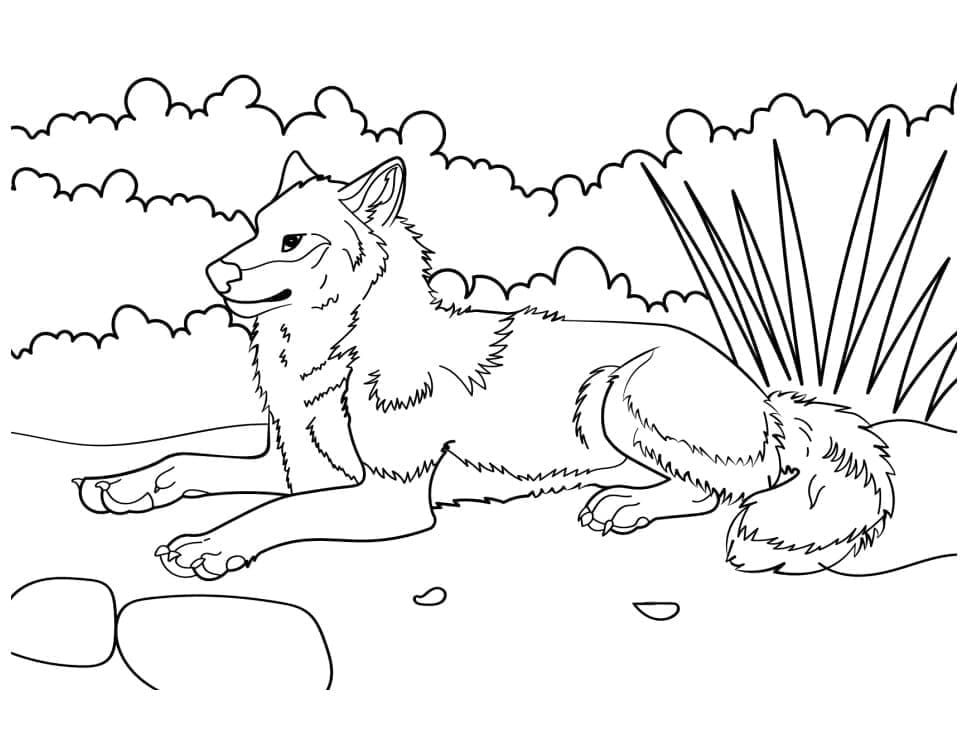 Desenho de Um Lobo na Floresta para colorir