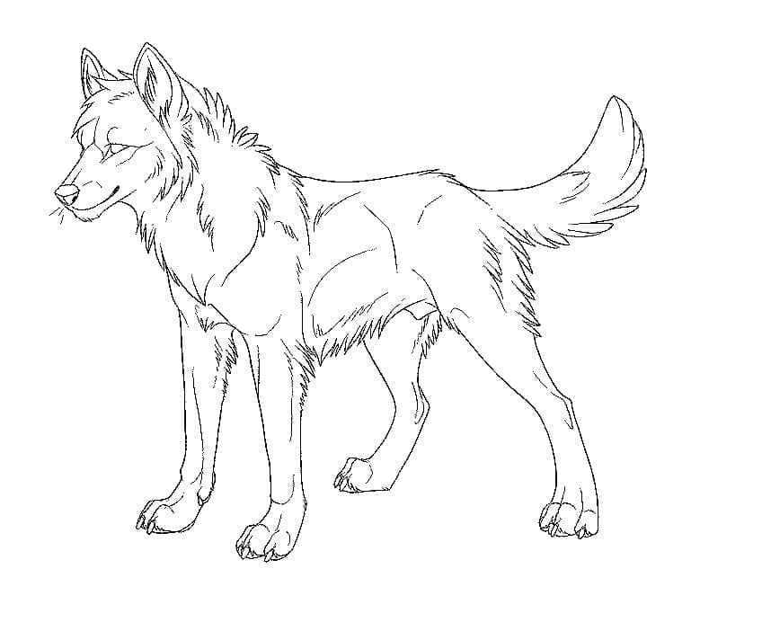 Desenho de Um Lobo Normal para colorir