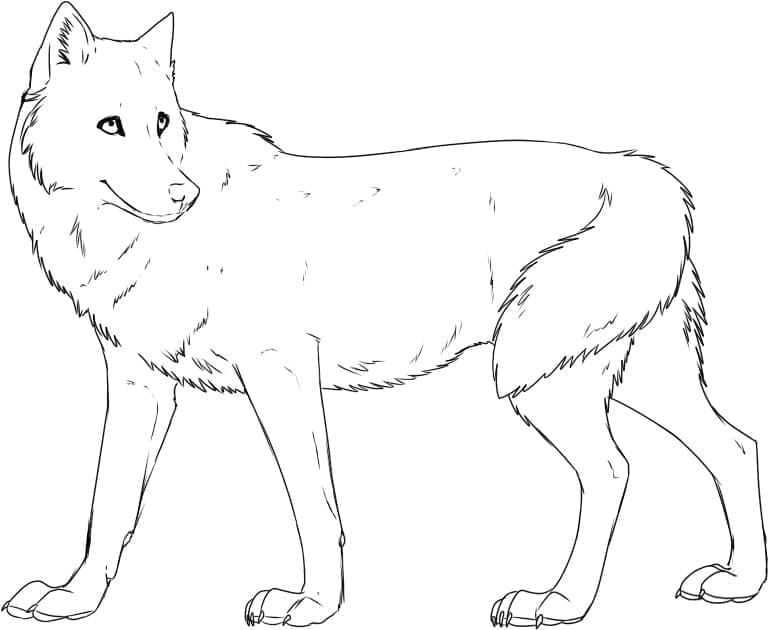 Desenho de Um Lobo para colorir