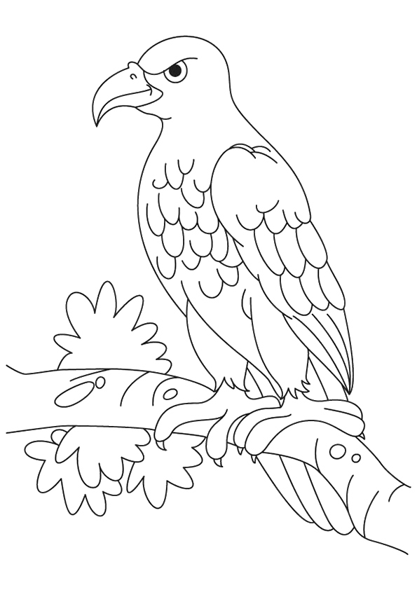 Desenho de Steller’s Sea Eagle para colorir