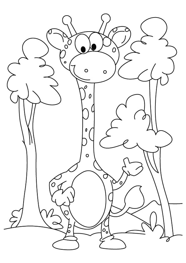 Desenhos de Girafa para colorir