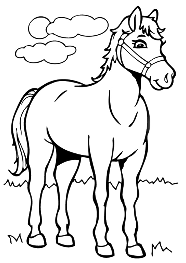 Desenhos de Cavalo para colorir