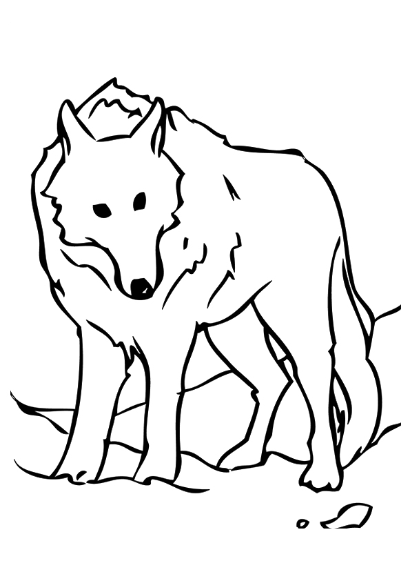 Desenho de Lobo Estacionário para colorir