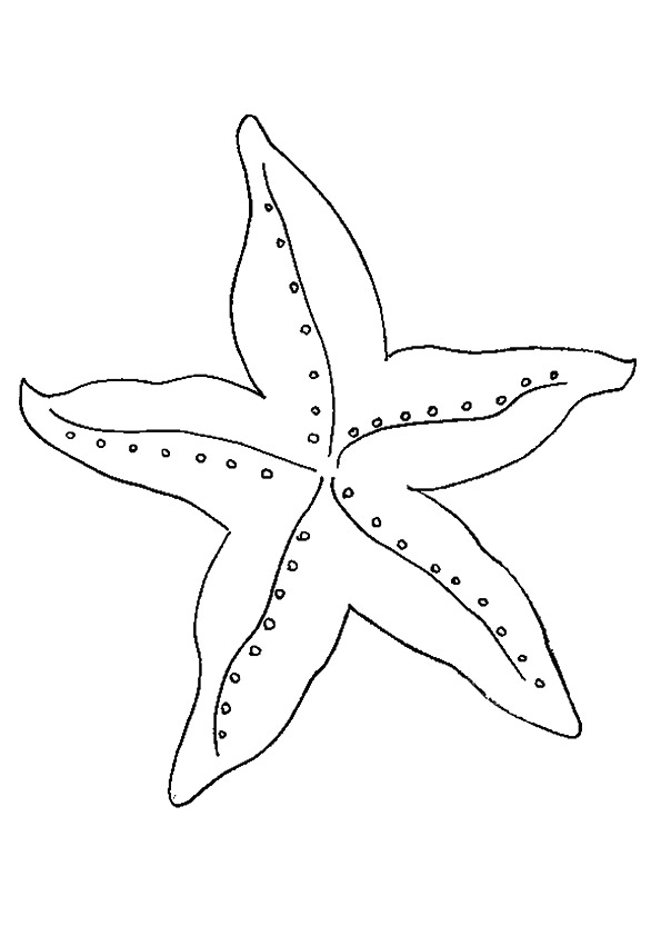 Desenhos de Estrelas do Mar para colorir