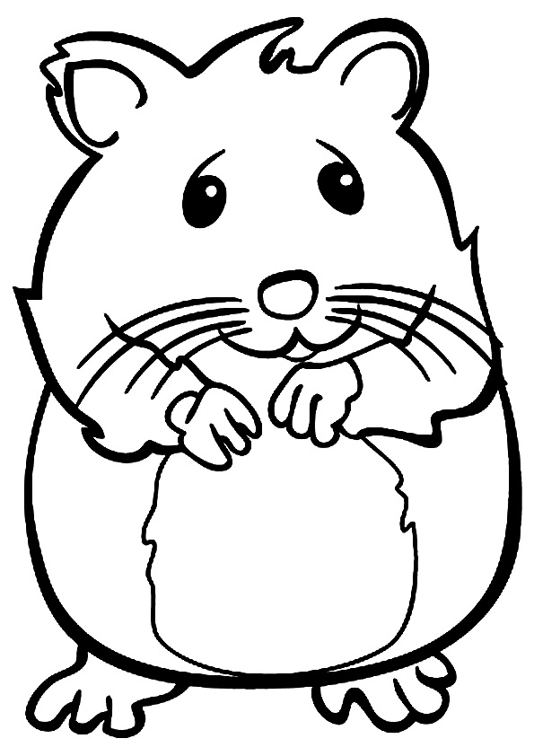 Desenhos de Hamster para colorir