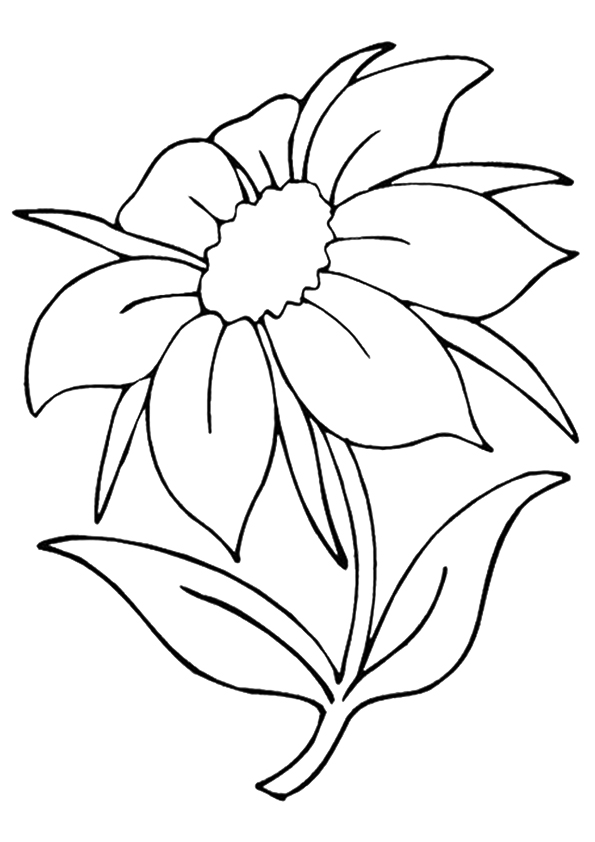 Desenho deAbsolute do Grandiflorum do Jasmim para colorir