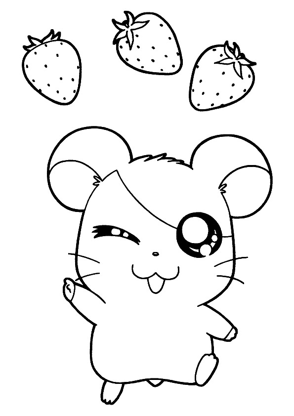 Desenhos de Hamtaro para colorir