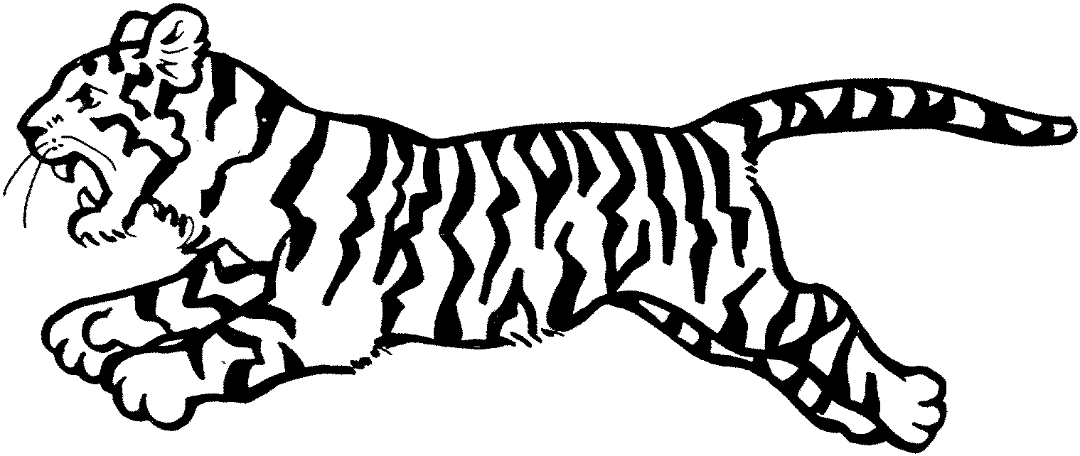 Desenho de Caça Ao Tigre para colorir