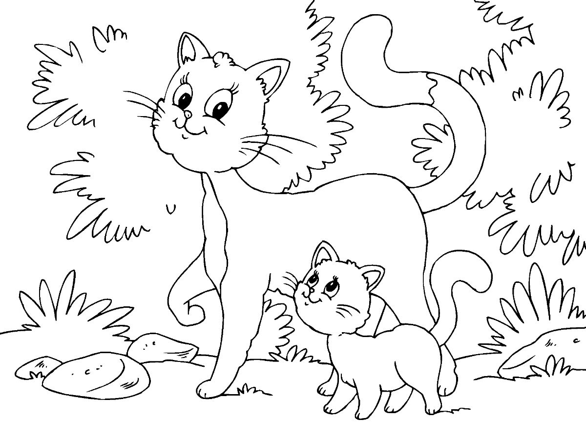 Desenho de Gato e Do Gatinho para colorir