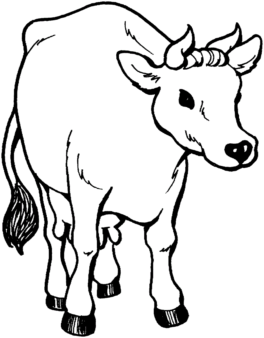 Desenho de Búfalo Normal para colorir