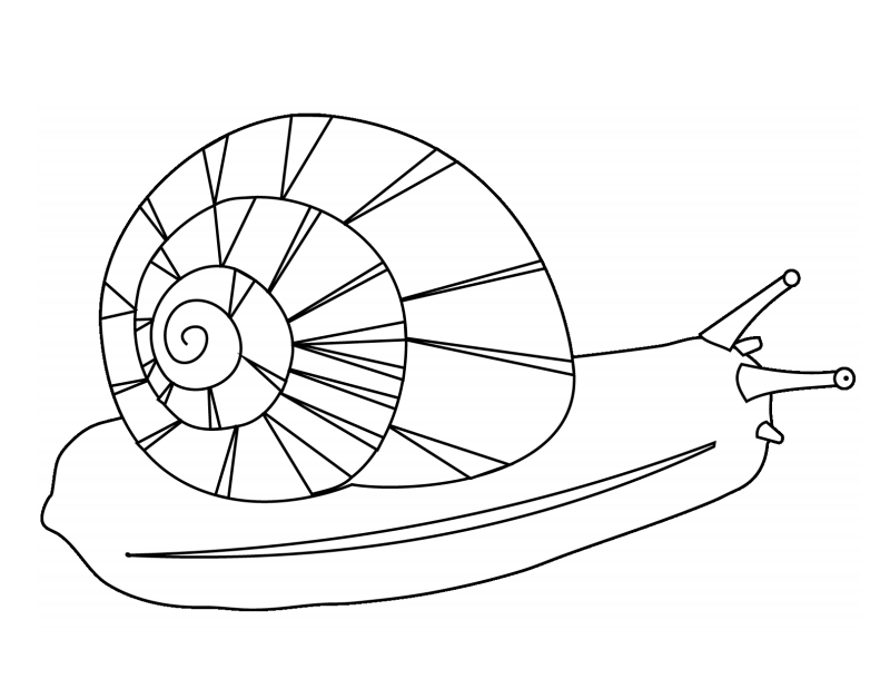 Desenho deUm Caracol para colorir