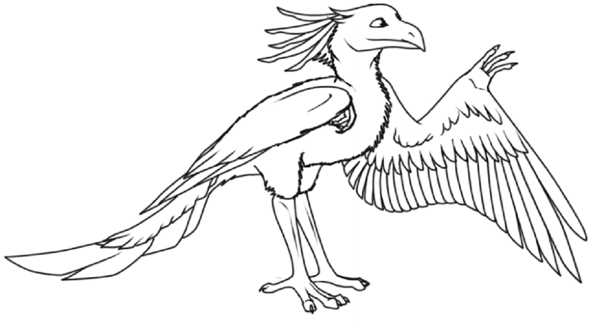 Desenhos de Archaeopteryx para colorir