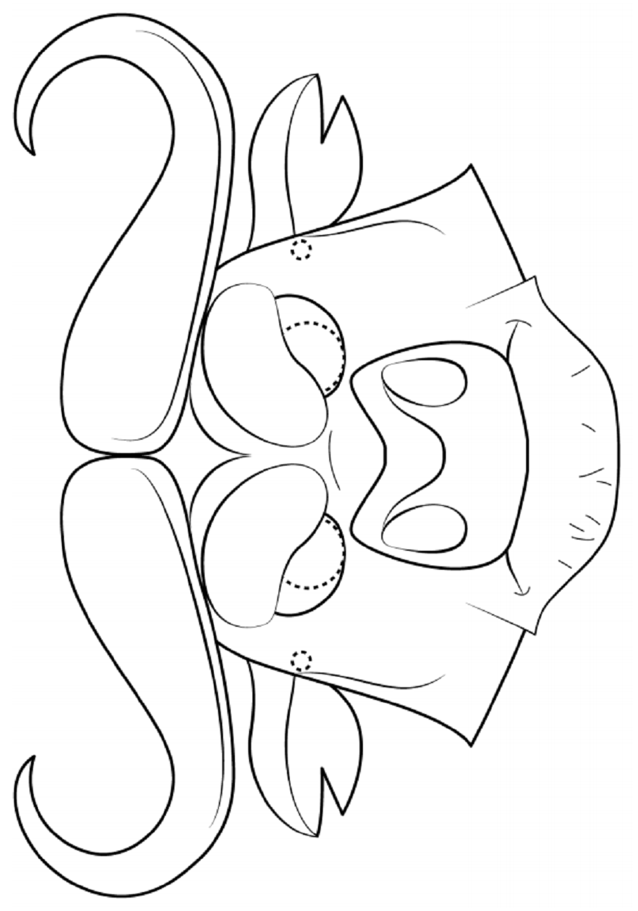 Desenho de Máscara de Búfalo para colorir