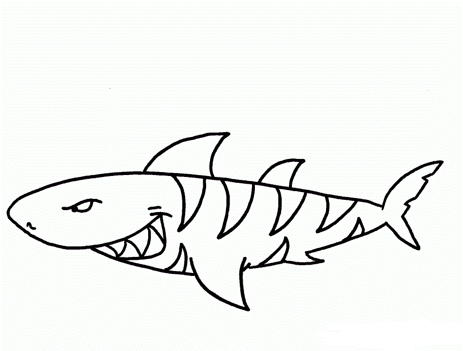 Desenho de Tubarão Tigre para colorir