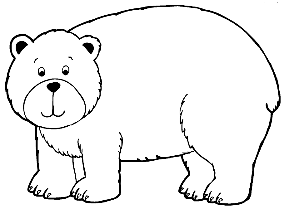 Desenho de Urso Gordo para colorir