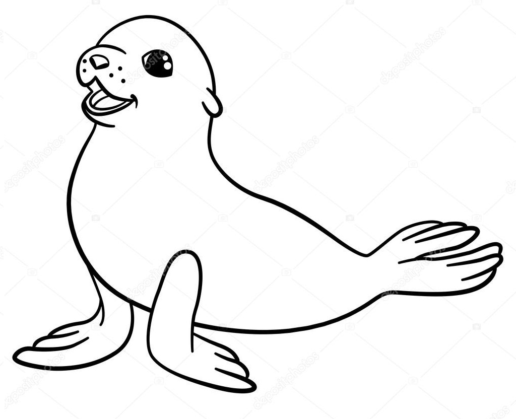 Desenhos de Foca para colorir