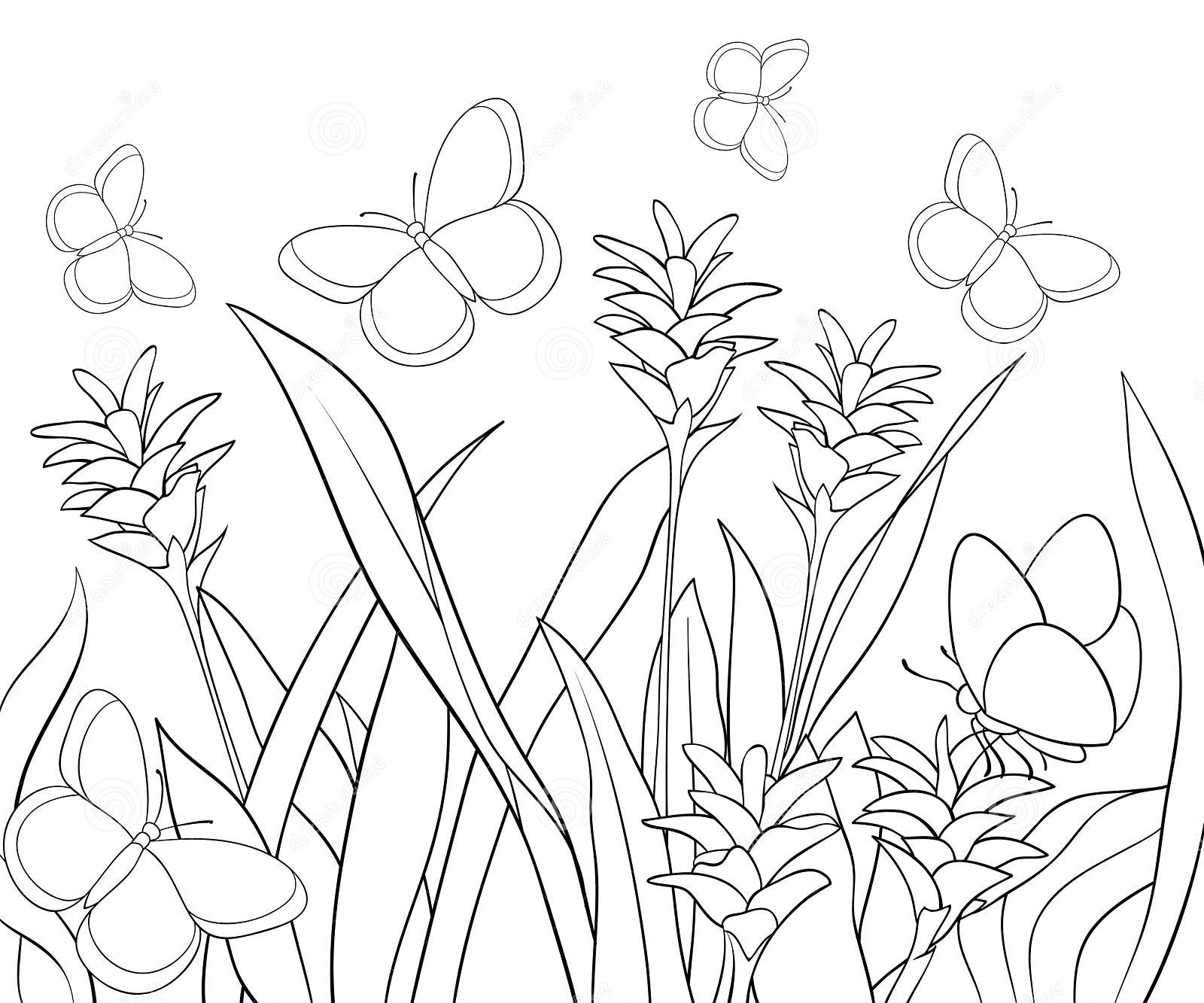 Desenho deFlores e Borboletas para colorir