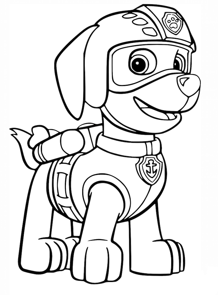 Desenho deZuma de Patrulha Canina para colorir