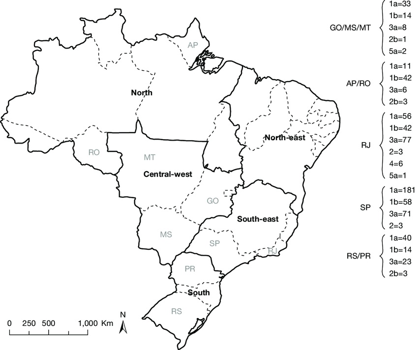 Desenho deMapa do Brasil 1 para colorir