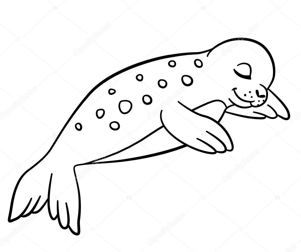 Desenho deFoca Adormecida para colorir