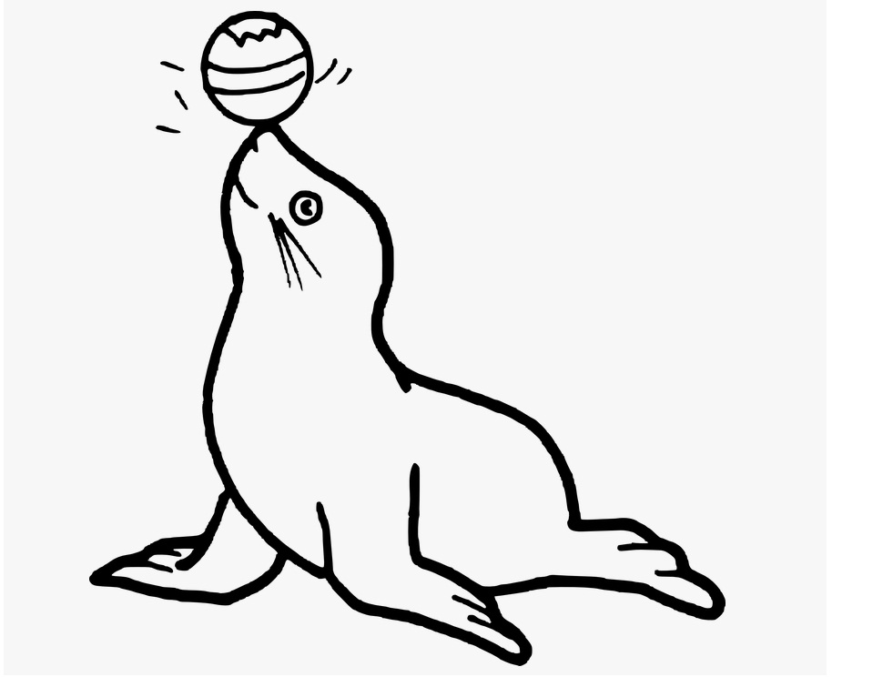 Desenho deFoca com uma Bola para colorir