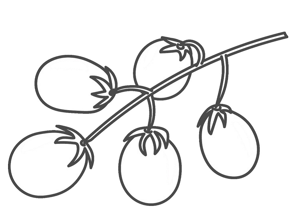 Desenho deTomate Cereja para colorir