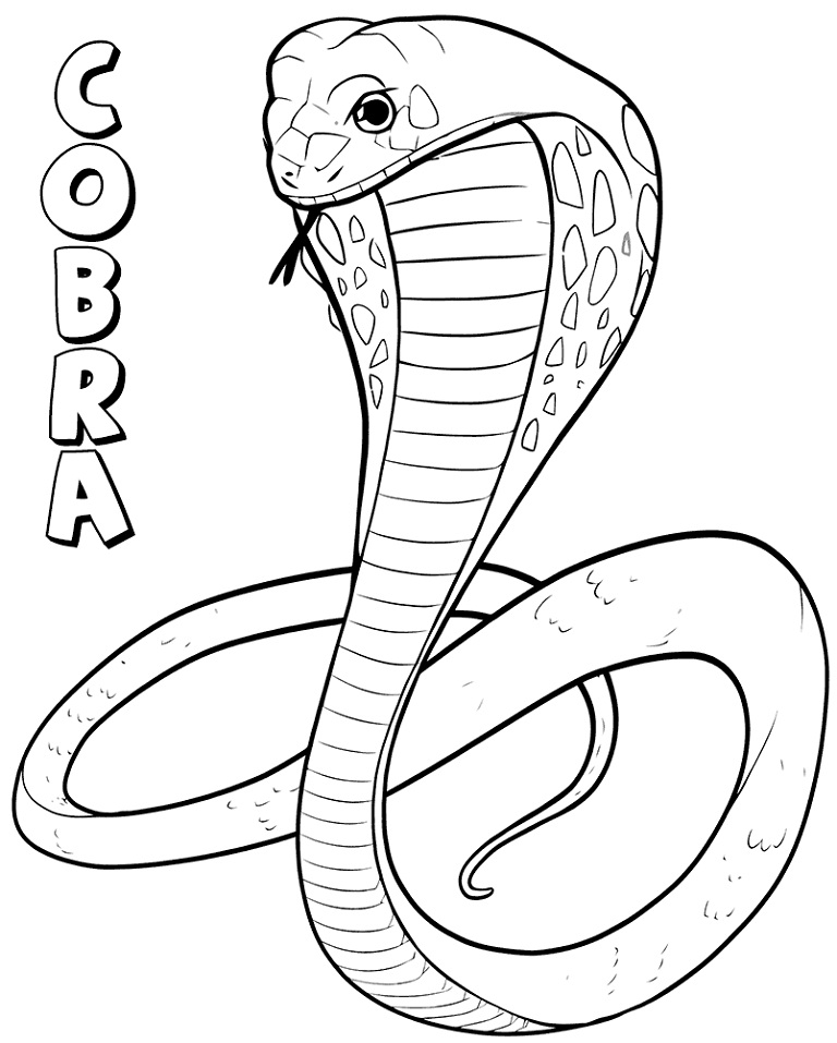 Desenho deA Cobra para colorir