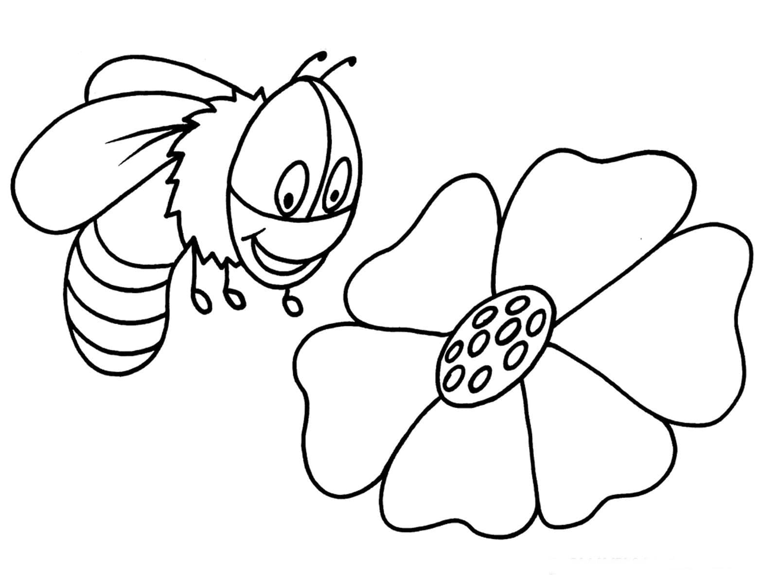 Desenho de Abelha e Flor para colorir