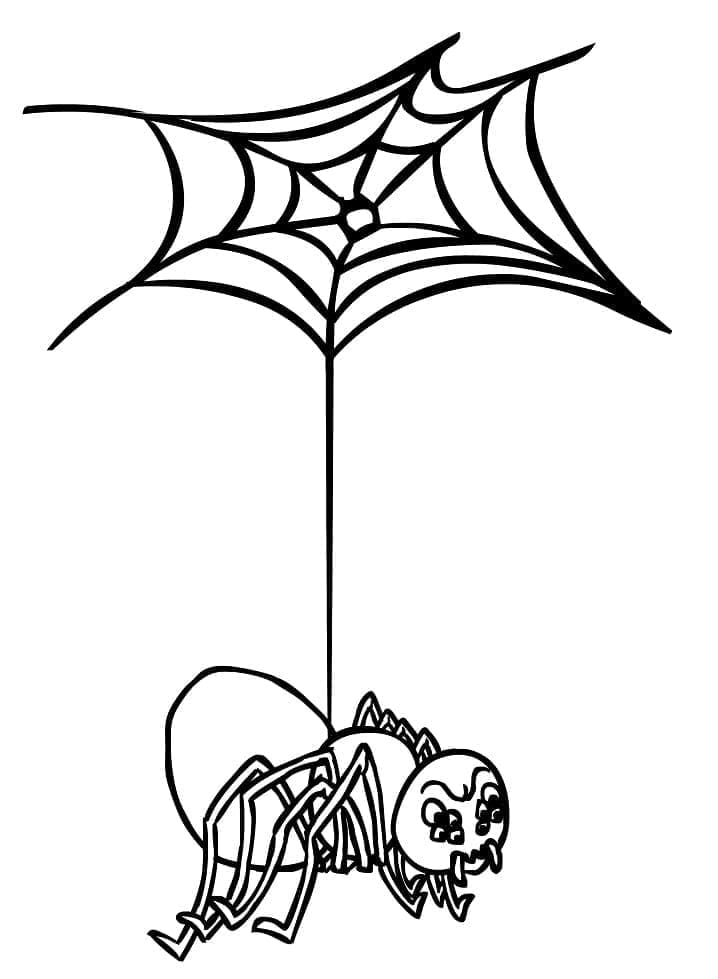 Desenho deAranha com Teia de Aranha para colorir