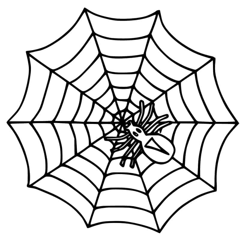 Desenho deAranha e Teia de Aranha para colorir