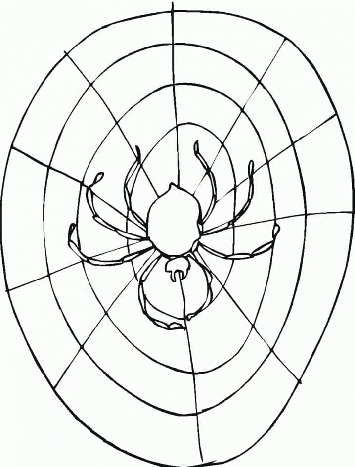 Desenho deAranha na Teia de Aranha para colorir