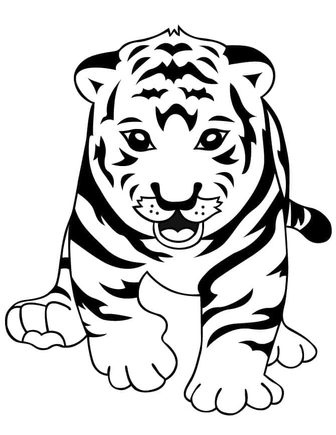 Desenho deBebê Tigre para colorir