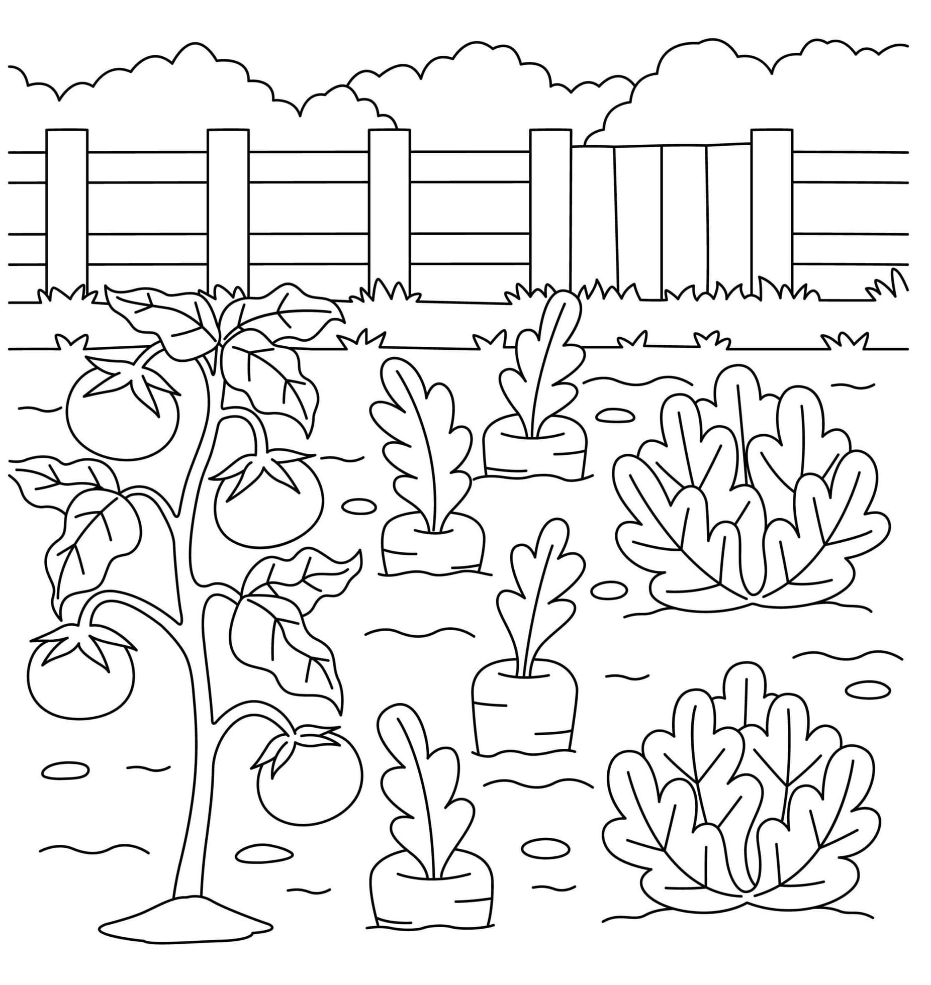 Desenhos de Horta para colorir