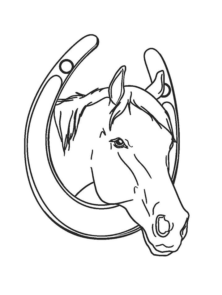 Desenho de Cabeça de Cavalo para colorir