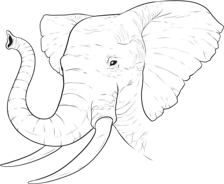 Desenho deCabeça de Elefante para colorir