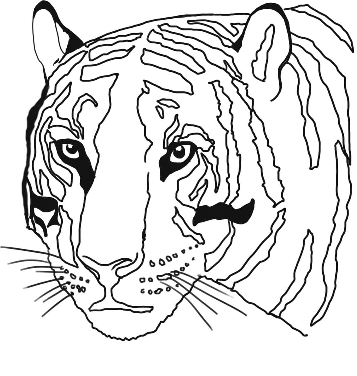 Desenho deCara de Tigre para colorir