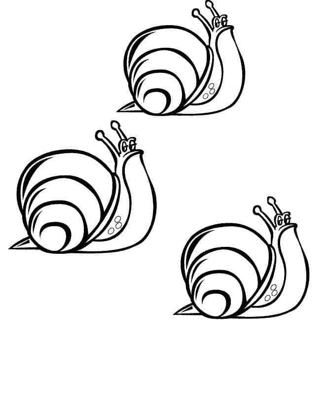 Desenho de Caracóis para colorir