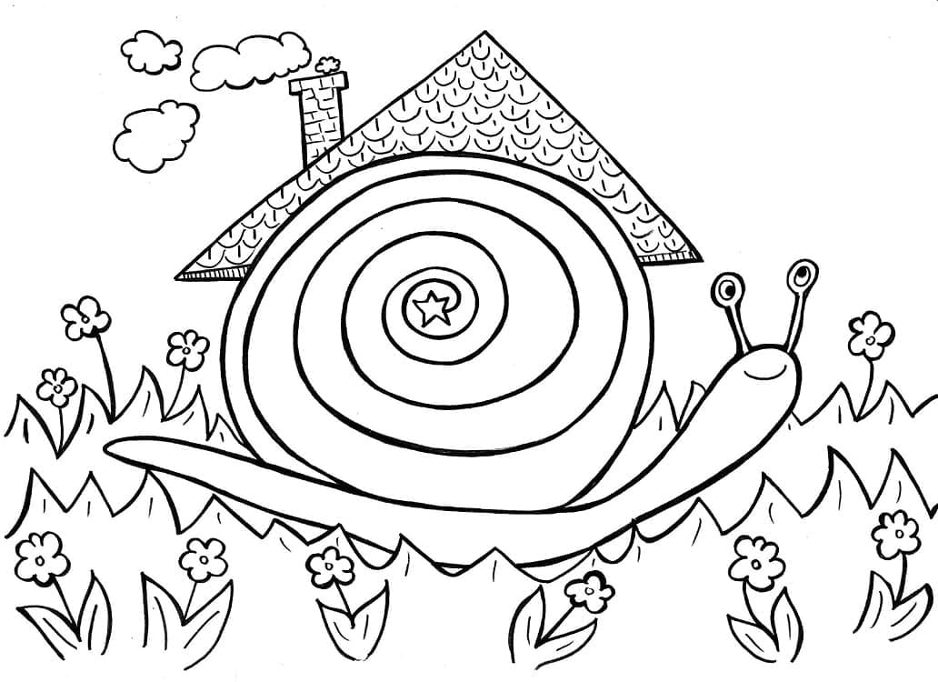 Desenho de Caracol Imprimível para colorir