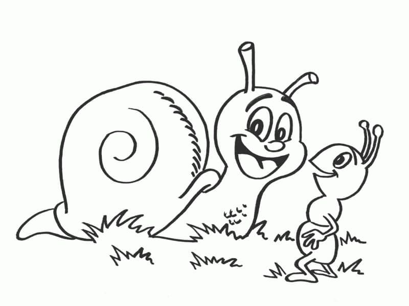 Desenho de Caracol e Formiga para colorir