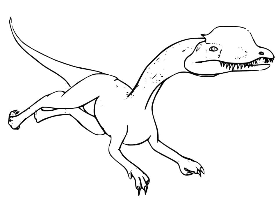 Desenho deDinossauro Dilofossauro para colorir