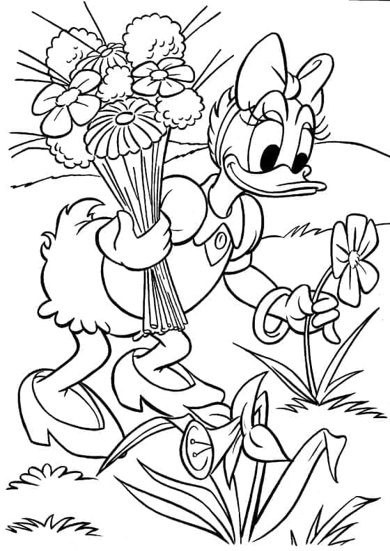 Desenho deDisney Margarida e Flores para colorir