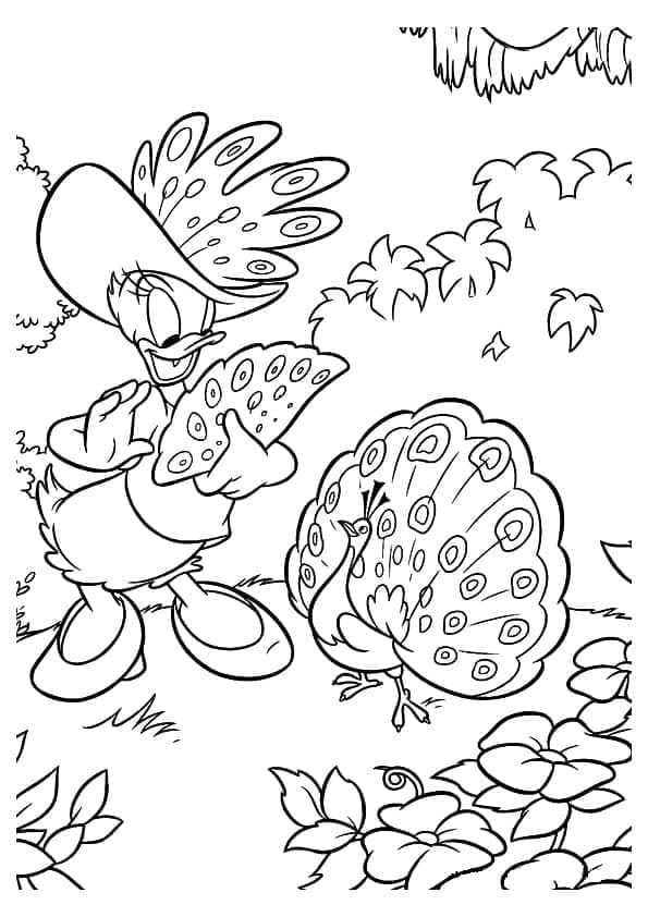 Desenho deDisney Margarida e Pavão para colorir