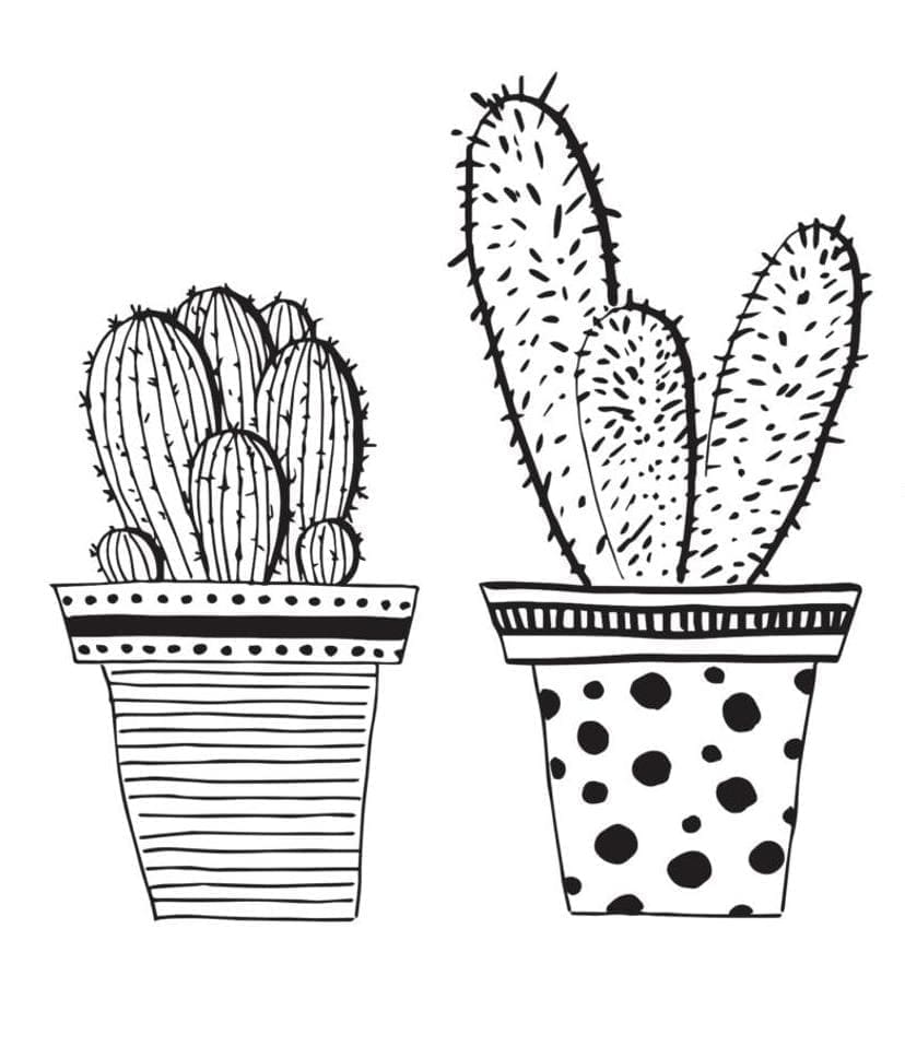 Desenho de Dois Vasos de Cactos para colorir