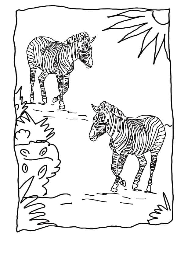 Desenho deDuas Zebras para colorir